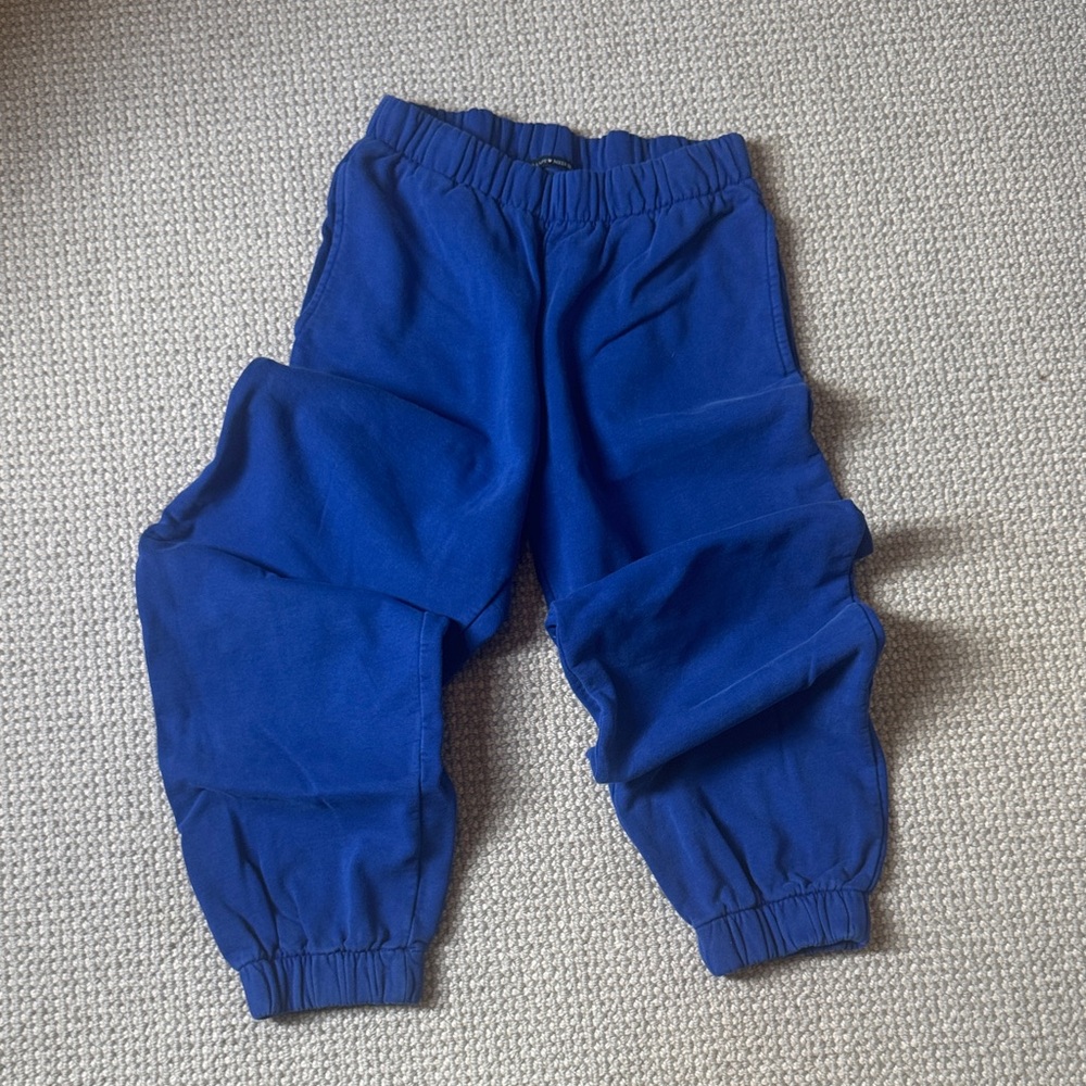 Brandy Melville Royal Blue Jogger Sweatpants